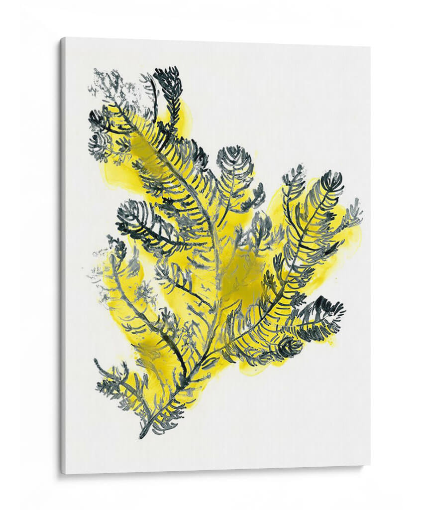 Citron Mar Kelp Iv - June Erica Vess | Cuadro decorativo de Canvas Lab