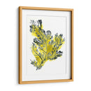 Citron Mar Kelp Iv - June Erica Vess | Cuadro decorativo de Canvas Lab