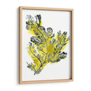 Citron Mar Kelp Iv - June Erica Vess | Cuadro decorativo de Canvas Lab