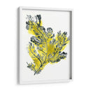 Citron Mar Kelp Iv - June Erica Vess | Cuadro decorativo de Canvas Lab