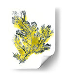 Citron Mar Kelp Iv - June Erica Vess | Cuadro decorativo de Canvas Lab