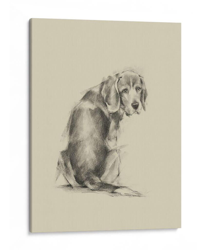 Ojos De Perrito - Ethan Harper | Cuadro decorativo de Canvas Lab