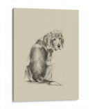 Ojos De Perrito - Ethan Harper | Cuadro decorativo de Canvas Lab