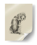 Ojos De Perrito - Ethan Harper | Cuadro decorativo de Canvas Lab