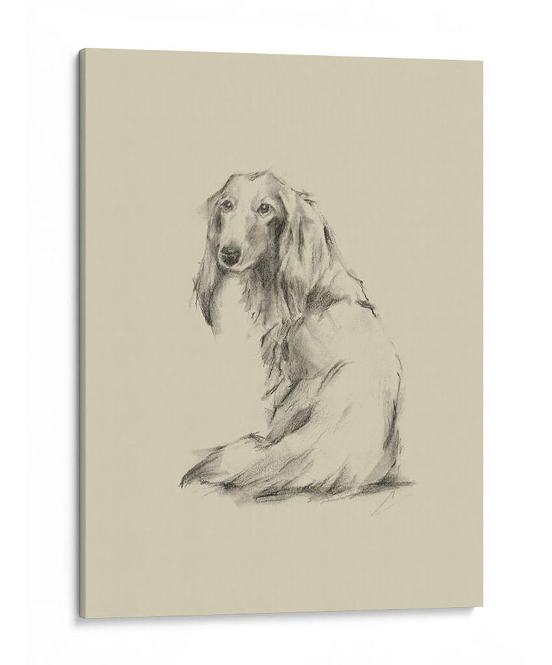 Puppy Dog Eyes Ii - Ethan Harper | Cuadro decorativo de Canvas Lab