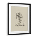 Puppy Dog Eyes Ii - Ethan Harper | Cuadro decorativo de Canvas Lab