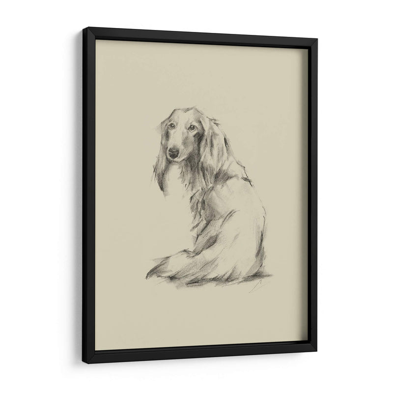 Puppy Dog Eyes Ii - Ethan Harper | Cuadro decorativo de Canvas Lab