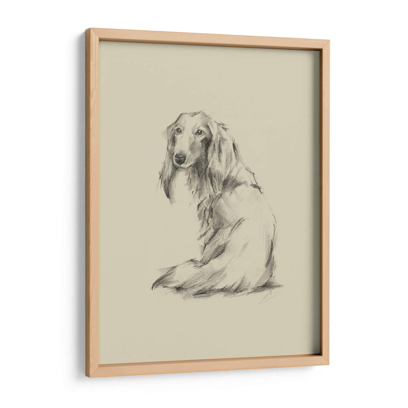 Puppy Dog Eyes Ii - Ethan Harper | Cuadro decorativo de Canvas Lab