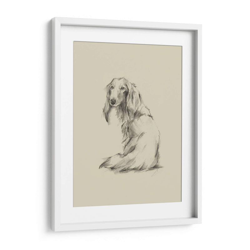 Puppy Dog Eyes Ii - Ethan Harper | Cuadro decorativo de Canvas Lab