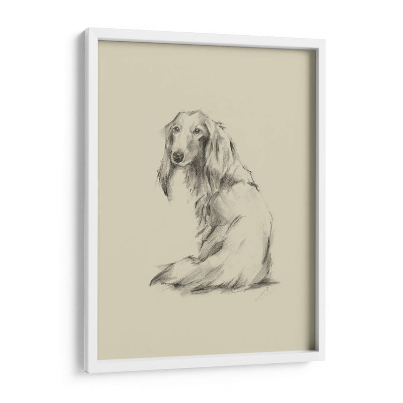 Puppy Dog Eyes Ii - Ethan Harper | Cuadro decorativo de Canvas Lab