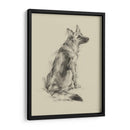 Ojos De Perro Cachorro V - Ethan Harper | Cuadro decorativo de Canvas Lab