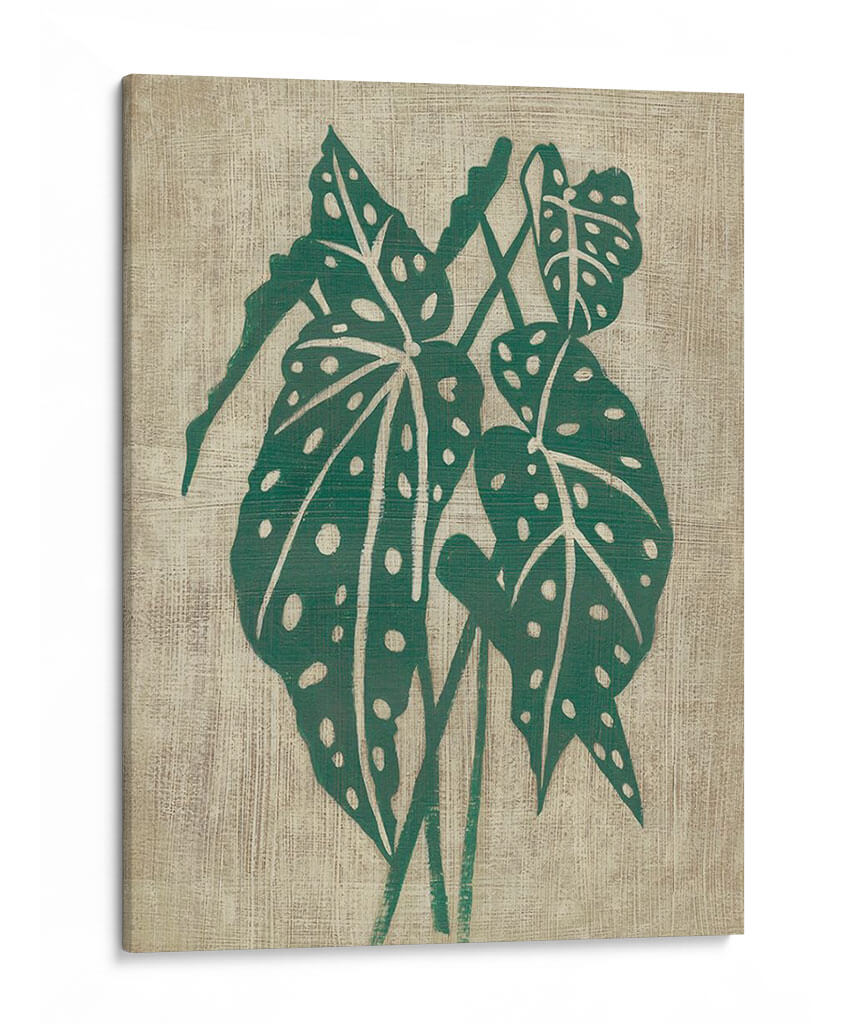 Vegetación Vintage Ii - Chariklia Zarris | Cuadro decorativo de Canvas Lab
