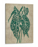 Vegetación Vintage Ii - Chariklia Zarris | Cuadro decorativo de Canvas Lab