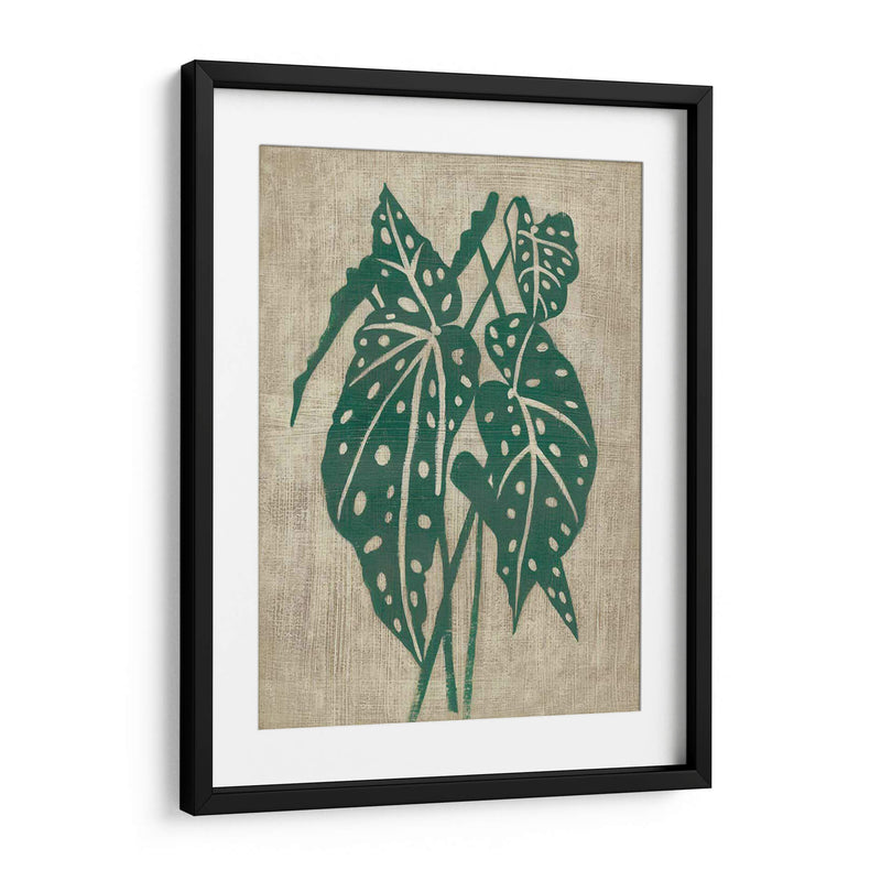 Vegetación Vintage Ii - Chariklia Zarris | Cuadro decorativo de Canvas Lab