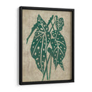 Vegetación Vintage Ii - Chariklia Zarris | Cuadro decorativo de Canvas Lab
