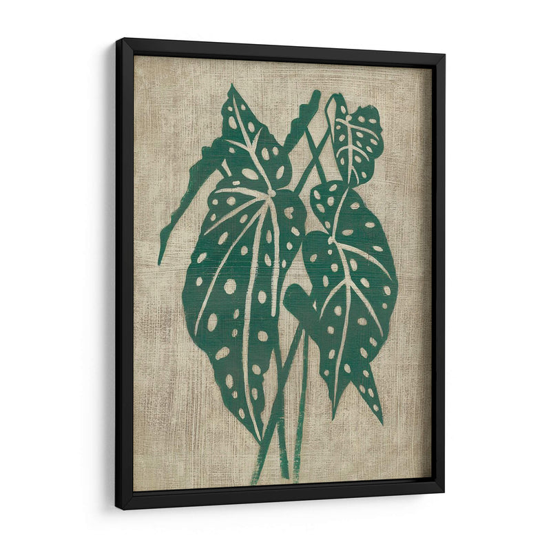 Vegetación Vintage Ii - Chariklia Zarris | Cuadro decorativo de Canvas Lab