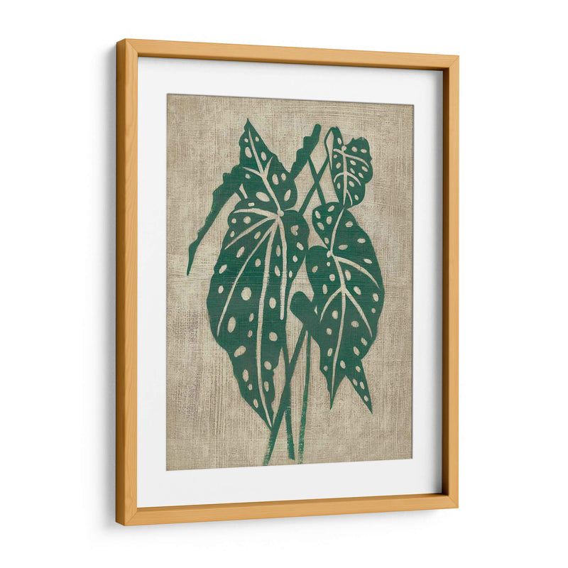 Vegetación Vintage Ii - Chariklia Zarris | Cuadro decorativo de Canvas Lab