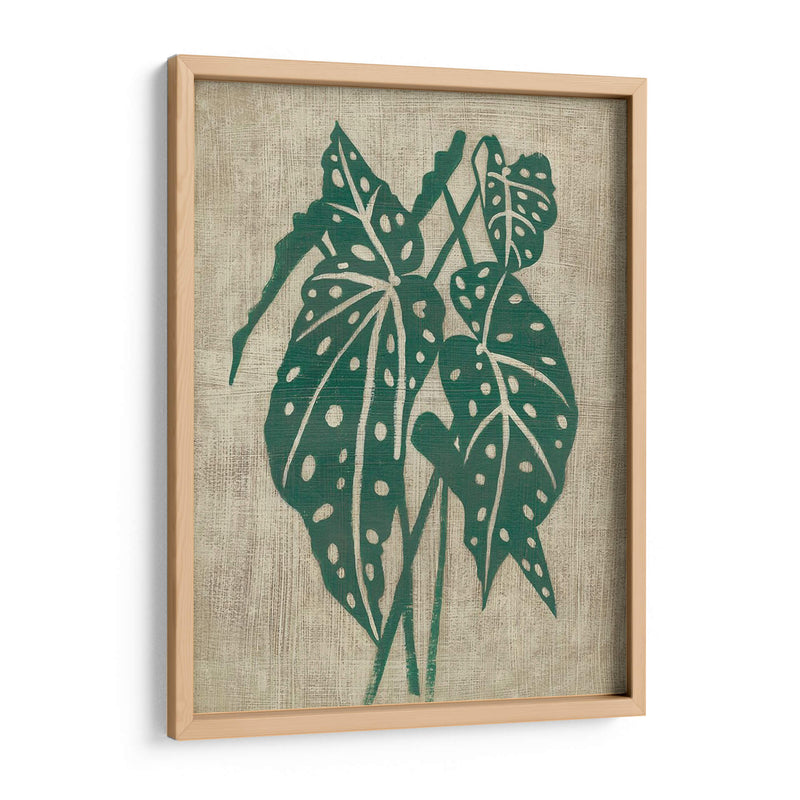 Vegetación Vintage Ii - Chariklia Zarris | Cuadro decorativo de Canvas Lab