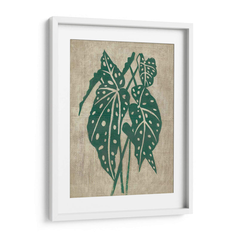 Vegetación Vintage Ii - Chariklia Zarris | Cuadro decorativo de Canvas Lab