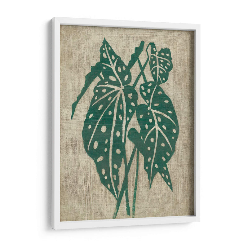 Vegetación Vintage Ii - Chariklia Zarris | Cuadro decorativo de Canvas Lab