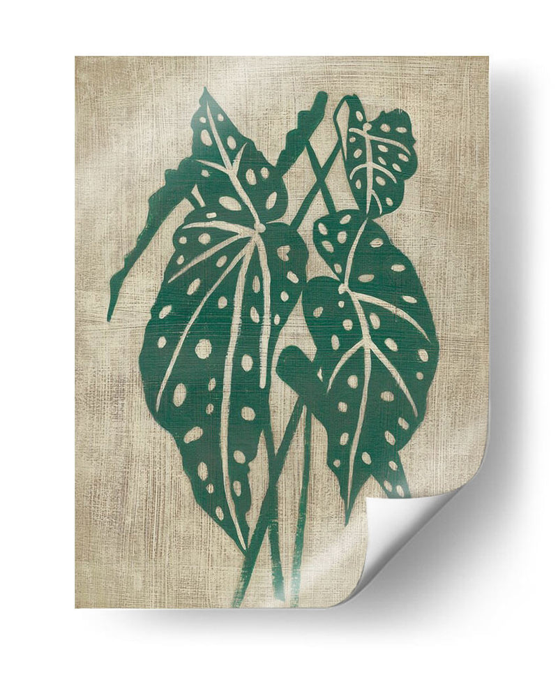 Vegetación Vintage Ii - Chariklia Zarris | Cuadro decorativo de Canvas Lab