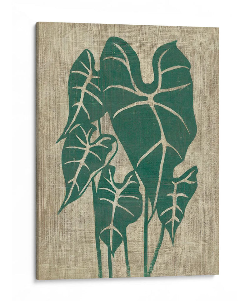 Vegetación Vintage Iii - Chariklia Zarris | Cuadro decorativo de Canvas Lab