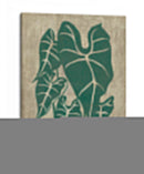 Vegetación Vintage Iii - Chariklia Zarris | Cuadro decorativo de Canvas Lab