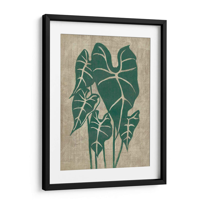 Vegetación Vintage Iii - Chariklia Zarris | Cuadro decorativo de Canvas Lab