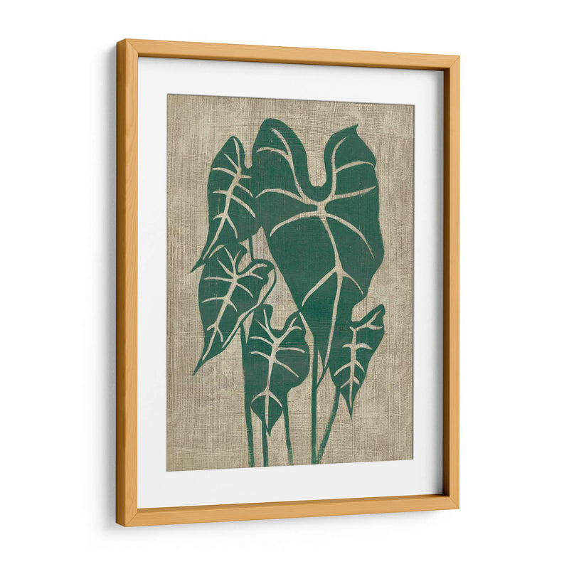 Vegetación Vintage Iii - Chariklia Zarris | Cuadro decorativo de Canvas Lab