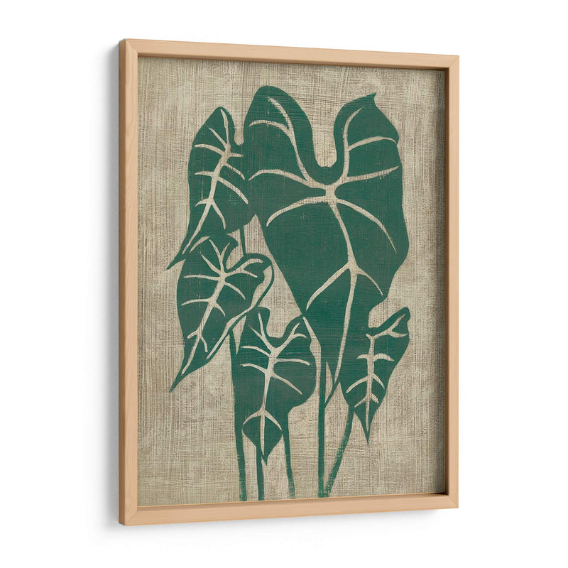 Vegetación Vintage Iii - Chariklia Zarris | Cuadro decorativo de Canvas Lab