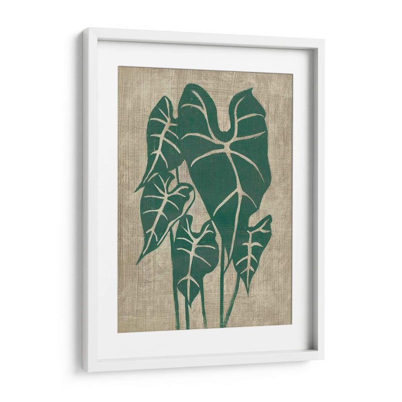 Vegetación Vintage Iii - Chariklia Zarris | Cuadro decorativo de Canvas Lab