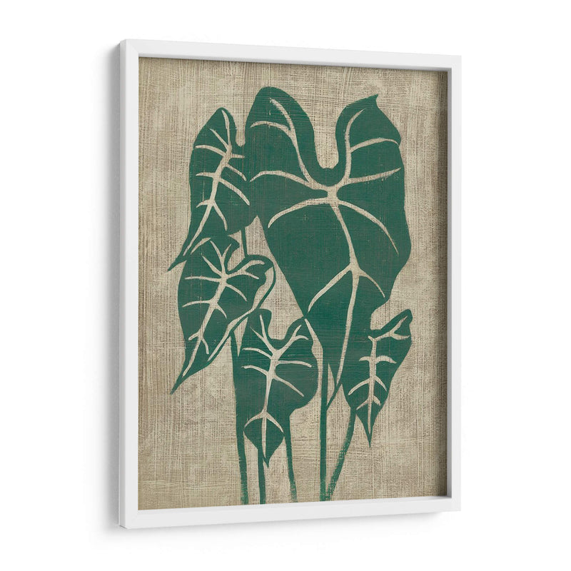 Vegetación Vintage Iii - Chariklia Zarris | Cuadro decorativo de Canvas Lab