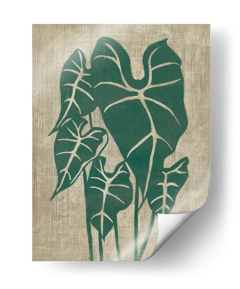 Vegetación Vintage Iii - Chariklia Zarris | Cuadro decorativo de Canvas Lab