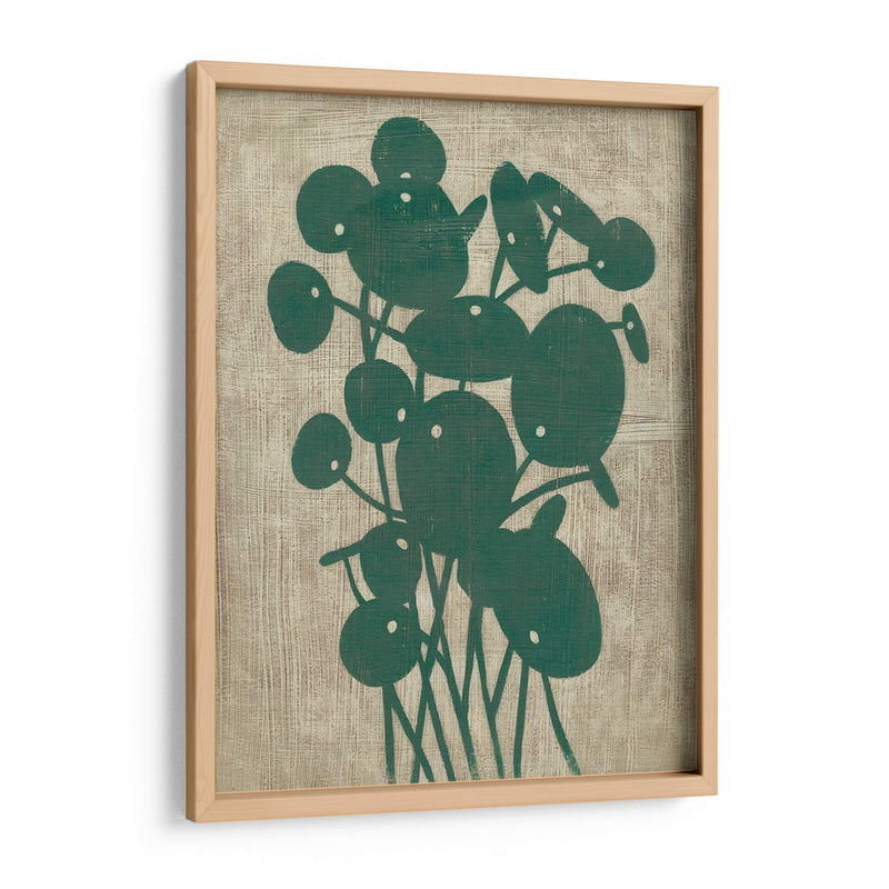 Vegetación Vintage Iv - Chariklia Zarris | Cuadro decorativo de Canvas Lab