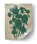 Vegetación Vintage Iv - Chariklia Zarris | Cuadro decorativo de Canvas Lab