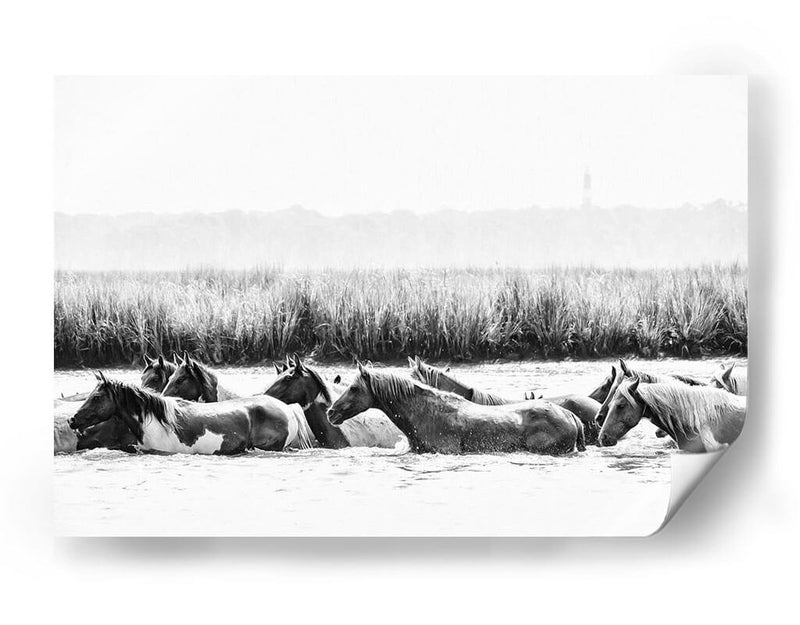 Caballos De Agua Iii - PH Burchett | Cuadro decorativo de Canvas Lab