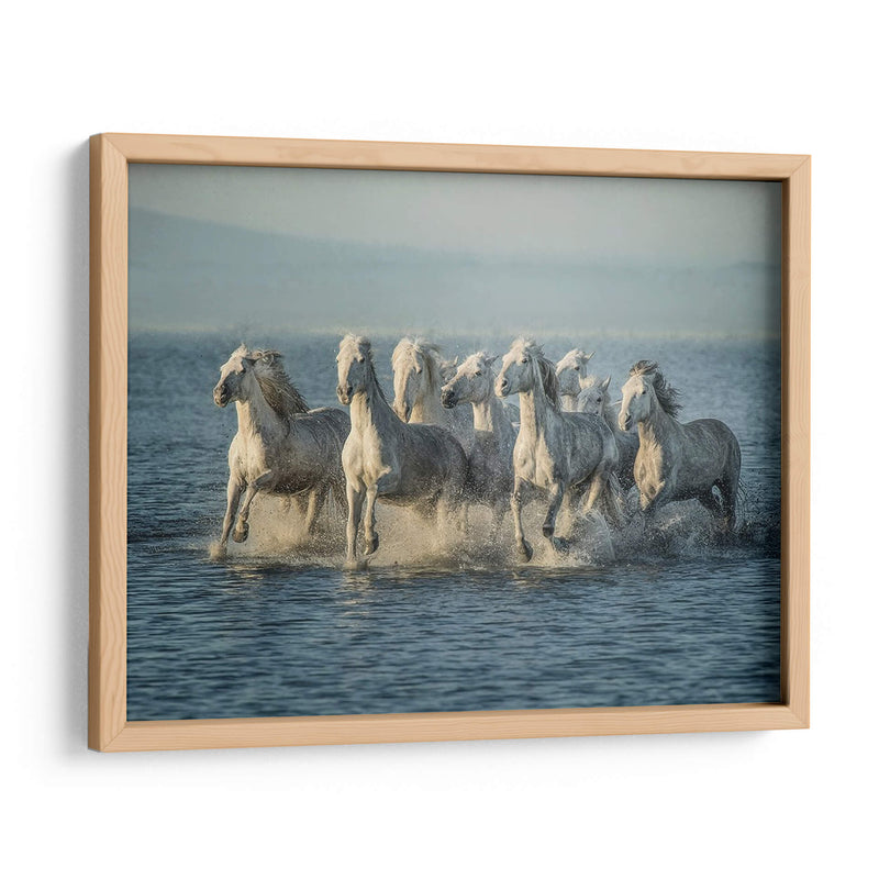 Caballos De Agua Vi - PH Burchett | Cuadro decorativo de Canvas Lab