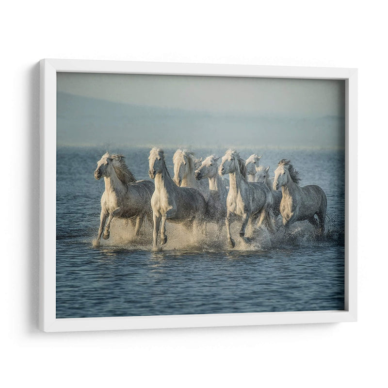 Caballos De Agua Vi - PH Burchett | Cuadro decorativo de Canvas Lab