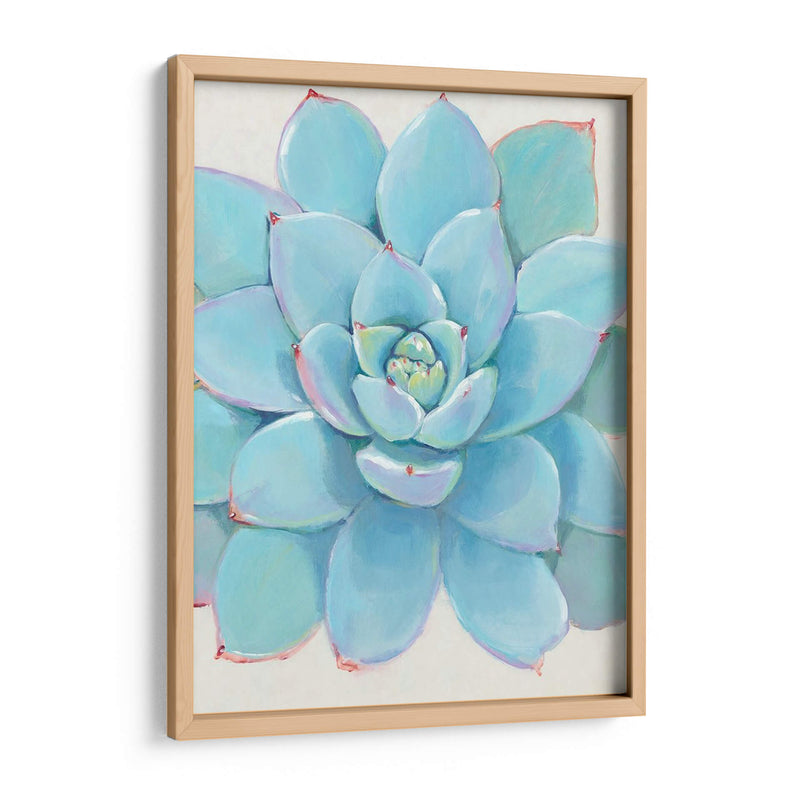 Pastel Suculento I - Tim OToole | Cuadro decorativo de Canvas Lab