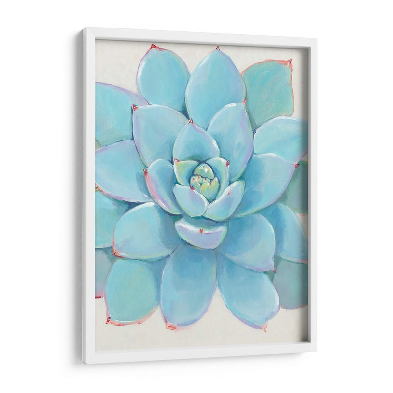 Pastel Suculento I - Tim OToole | Cuadro decorativo de Canvas Lab