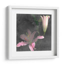 Fleur De Lys Ii - Alicia Ludwig | Cuadro decorativo de Canvas Lab