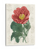 Peony Flower Garden I - Vision Studio | Cuadro decorativo de Canvas Lab