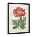 Peony Flower Garden Ii - Vision Studio | Cuadro decorativo de Canvas Lab