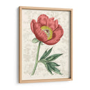 Peony Flower Garden Iii - Vision Studio | Cuadro decorativo de Canvas Lab
