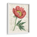 Peony Flower Garden Iii - Vision Studio | Cuadro decorativo de Canvas Lab