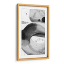 Fascinado I - Sharon Chandler | Cuadro decorativo de Canvas Lab