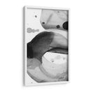 Fascinado I - Sharon Chandler | Cuadro decorativo de Canvas Lab