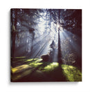 Rayos de sol | Cuadro decorativo de Canvas Lab