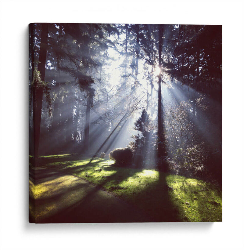 Rayos de sol | Cuadro decorativo de Canvas Lab