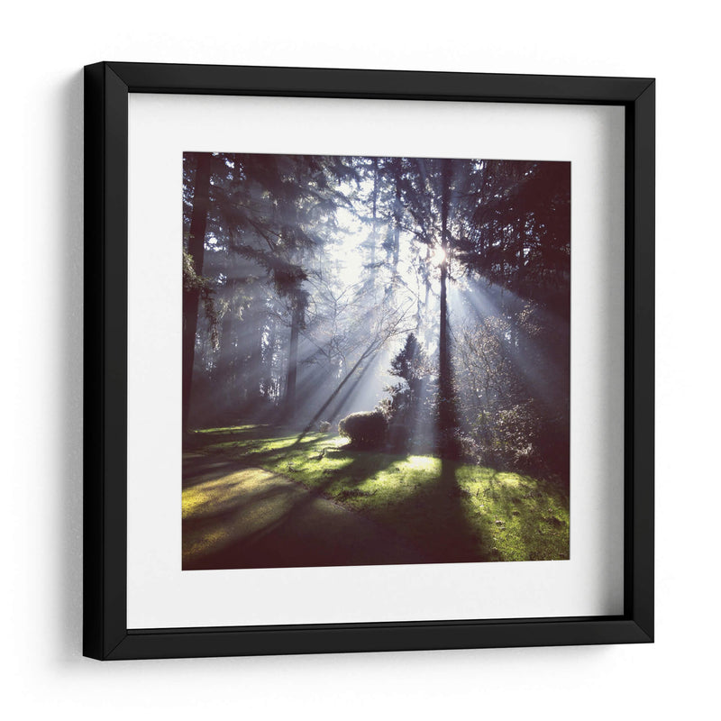 Rayos de sol | Cuadro decorativo de Canvas Lab